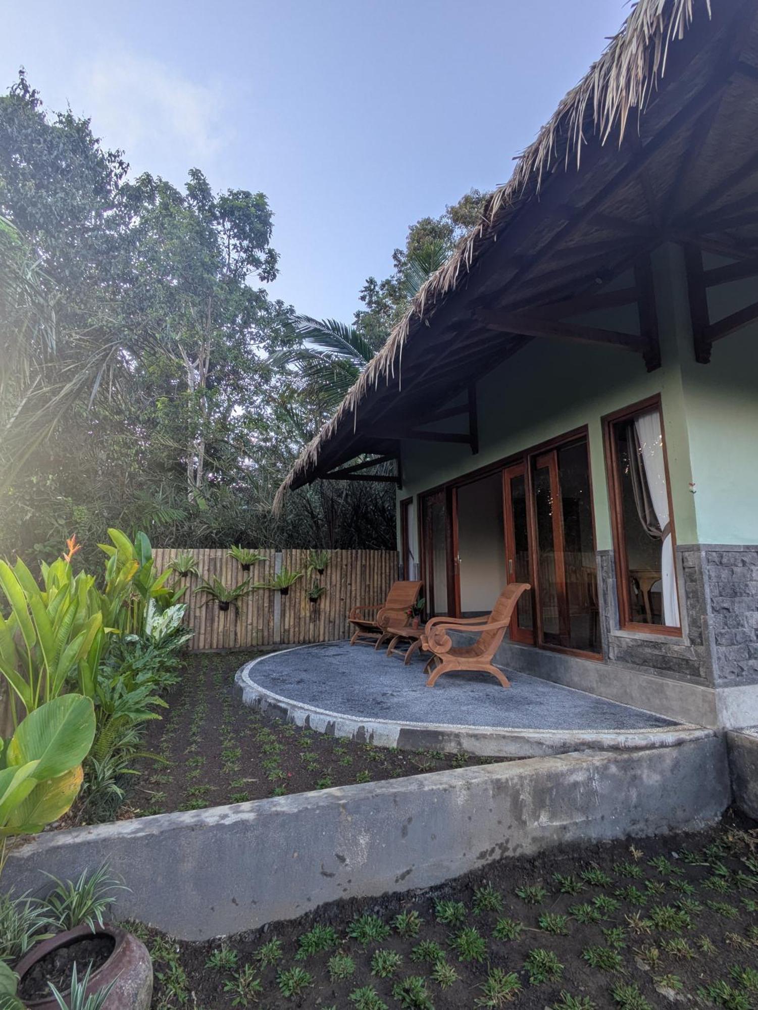 Palmeras